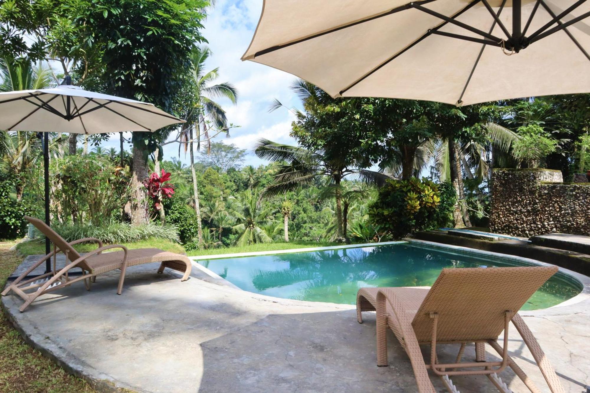 Aventus Resort Ubud Tegallalang  Εξωτερικό φωτογραφία