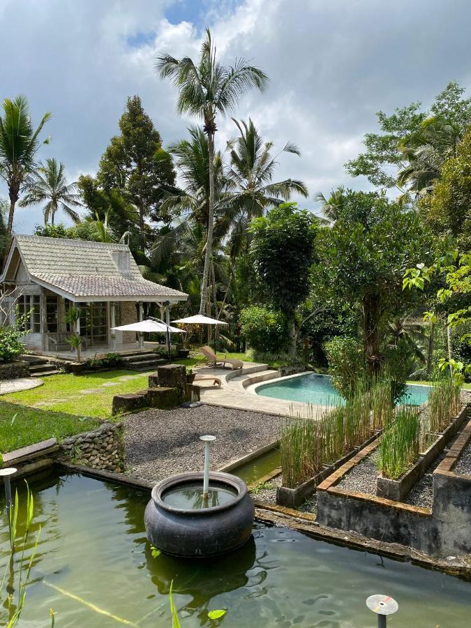 Aventus Resort Ubud Tegallalang  Εξωτερικό φωτογραφία